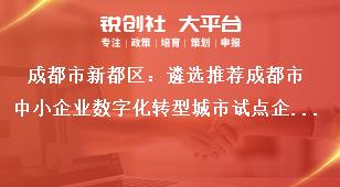 成都市新都區：遴選推薦成都市中小企業數字化轉型城市試點企業遴選條件獎補政策