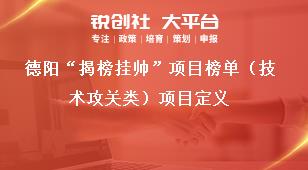 德陽“揭榜掛帥”項(xiàng)目榜單（技術(shù)攻關(guān)類）項(xiàng)目定義獎補(bǔ)政策