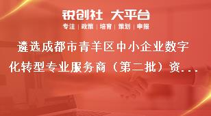 遴選成都市青羊區中小企業數字化轉型專業服務商（第二批）資格條件獎補政策