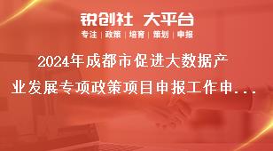 2024年成都市促進(jìn)大數(shù)據(jù)產(chǎn)業(yè)發(fā)展專項政策項目申報工作申報時間獎補政策