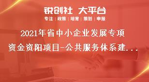 2021年省中小企業(yè)發(fā)展專項(xiàng)資金資陽項(xiàng)目-公共服務(wù)體系建設(shè)補(bǔ)助標(biāo)準(zhǔn)獎補(bǔ)政策