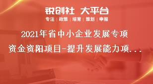 2021年省中小企業發展專項資金資陽項目-提升發展能力項目資料要求獎補政策