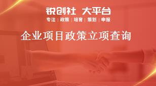 企業(yè)項(xiàng)目政策立項(xiàng)查詢獎(jiǎng)補(bǔ)政策