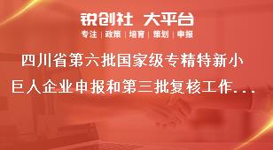 四川省第六批國家級專精特新小巨人企業(yè)申報和第三批復(fù)核工作工作程序獎補政策