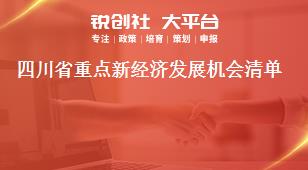 四川省重點新經(jīng)濟發(fā)展機會清單獎補政策