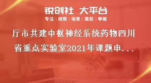 廳市共建中樞神經(jīng)系統(tǒng)藥物四川省重點(diǎn)實(shí)驗室2021年課題申請材料獎補(bǔ)政策